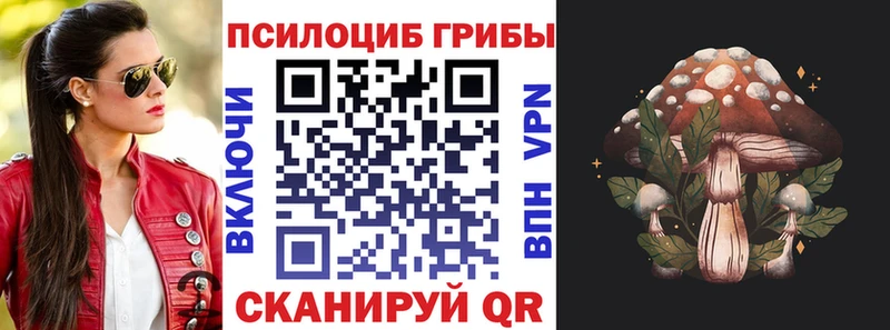 Псилоцибиновые грибы Cubensis  купить наркоту  Кимовск 
